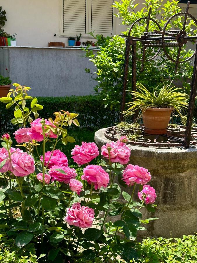 Js House Shkoder 1 Daire Dış mekan fotoğraf