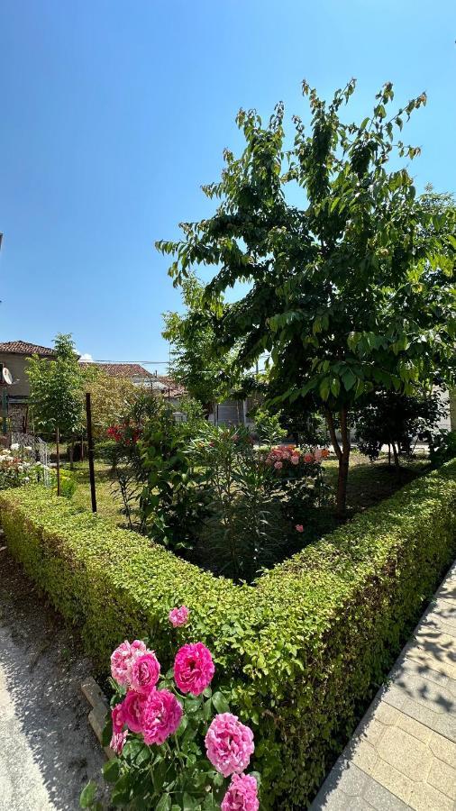 Js House Shkoder 1 Daire Dış mekan fotoğraf